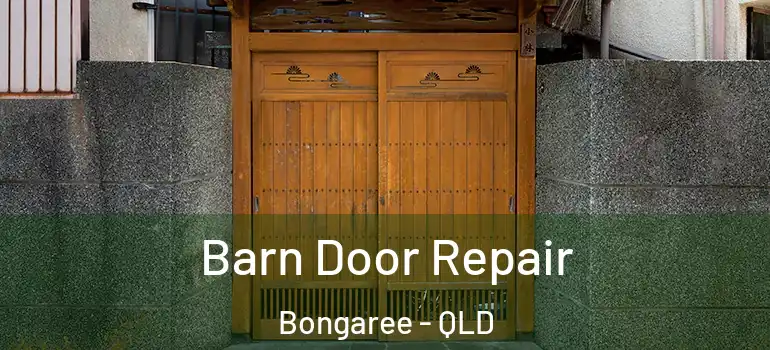 Barn Door Repair Bongaree - QLD