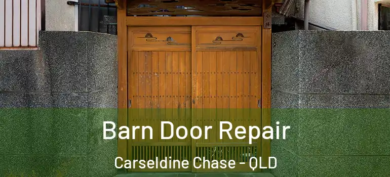  Barn Door Repair Carseldine Chase - QLD