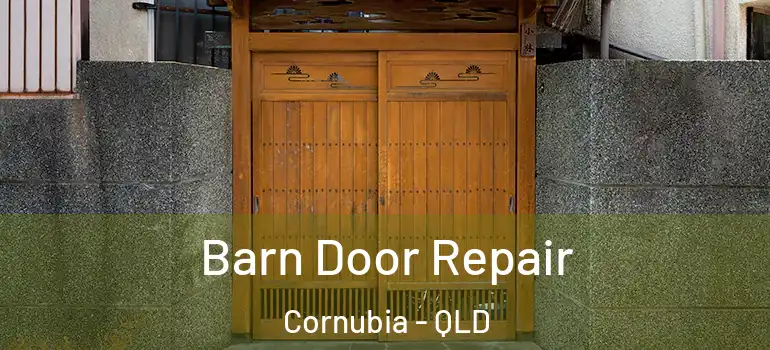 Barn Door Repair Cornubia - QLD