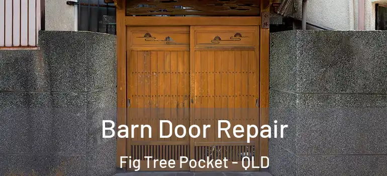 Barn Door Repair Fig Tree Pocket - QLD