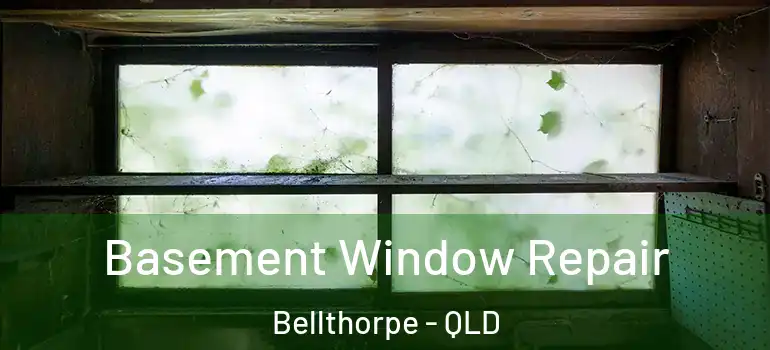 Basement Window Repair Bellthorpe - QLD