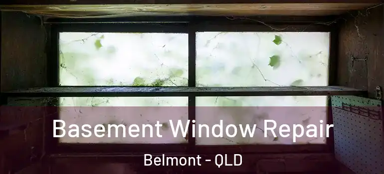  Basement Window Repair Belmont - QLD