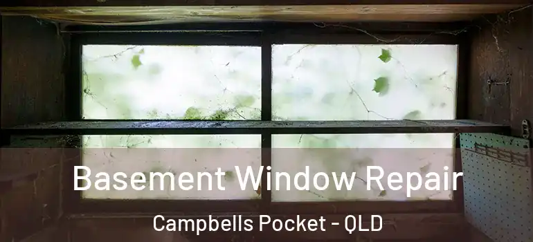 Basement Window Repair Campbells Pocket - QLD