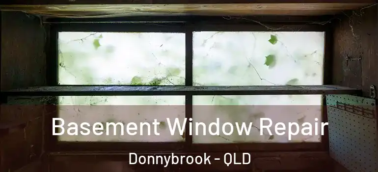 Basement Window Repair Donnybrook - QLD