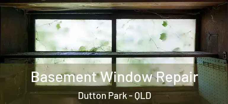 Basement Window Repair Dutton Park - QLD