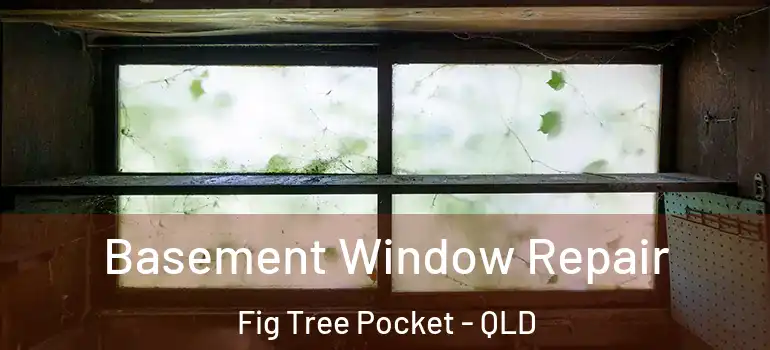 Basement Window Repair Fig Tree Pocket - QLD