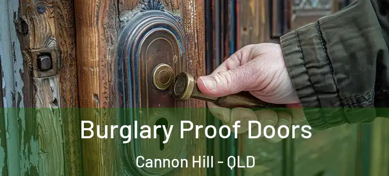 Burglary Proof Doors Cannon Hill - QLD