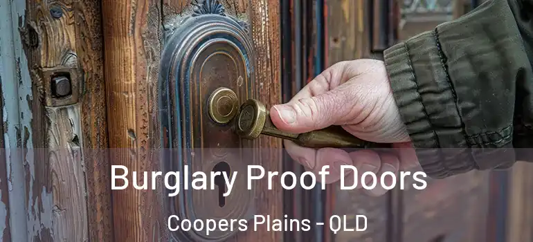 Burglary Proof Doors Coopers Plains - QLD