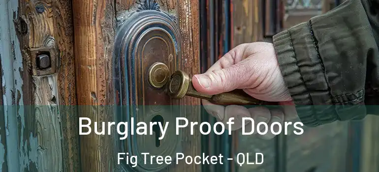 Burglary Proof Doors Fig Tree Pocket - QLD