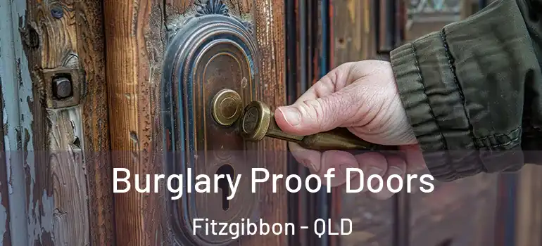 Burglary Proof Doors Fitzgibbon - QLD