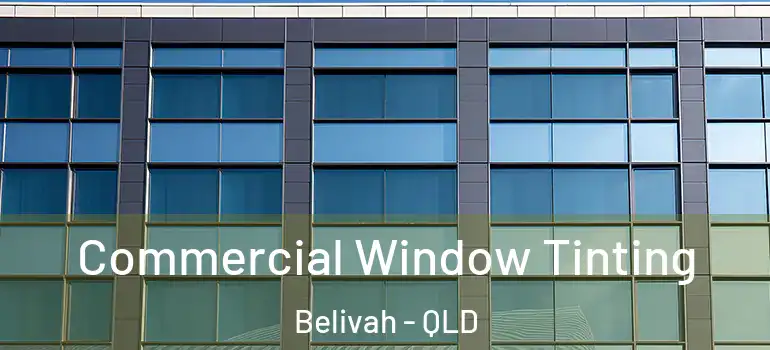 Commercial Window Tinting Belivah - QLD