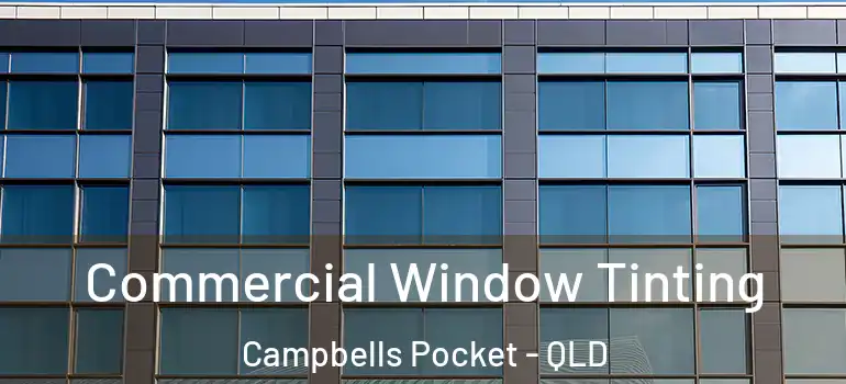 Commercial Window Tinting Campbells Pocket - QLD