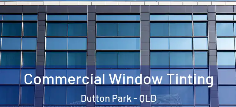 Commercial Window Tinting Dutton Park - QLD