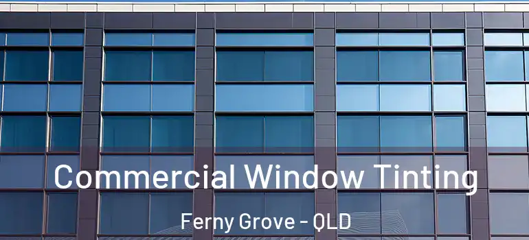 Commercial Window Tinting Ferny Grove - QLD