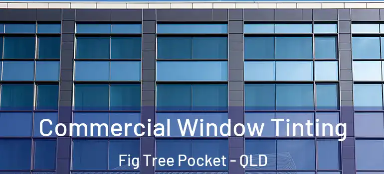 Commercial Window Tinting Fig Tree Pocket - QLD
