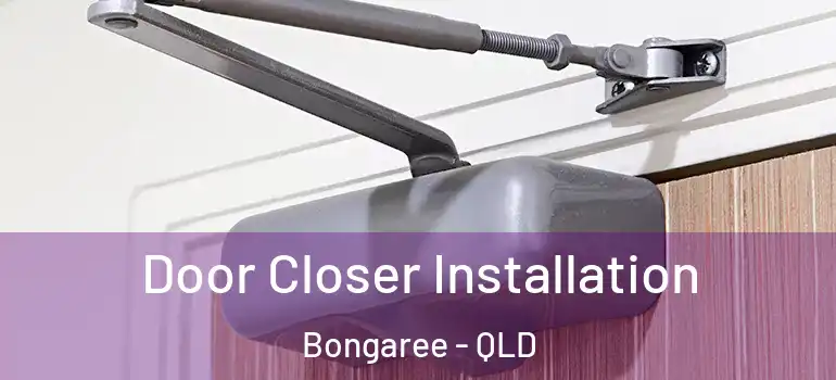 Door Closer Installation Bongaree - QLD