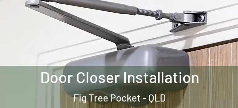 Door Closer Installation Fig Tree Pocket - QLD