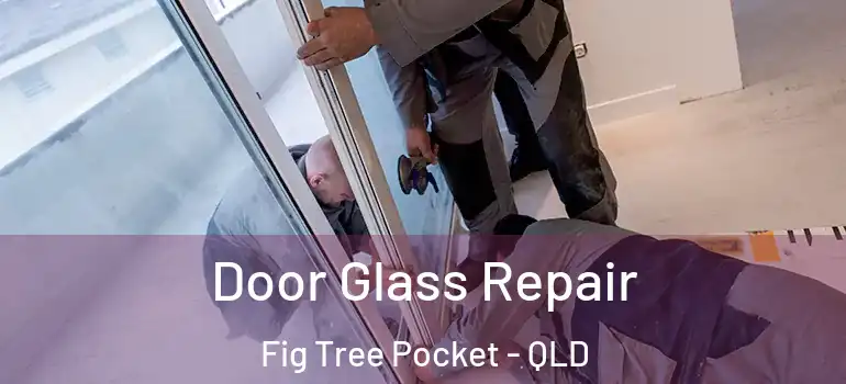 Door Glass Repair Fig Tree Pocket - QLD