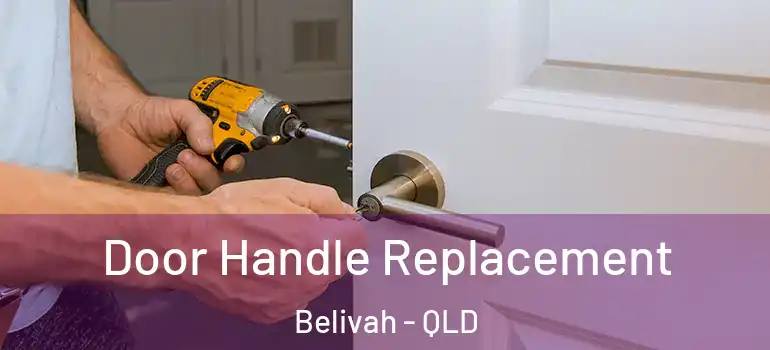 Door Handle Replacement Belivah - QLD