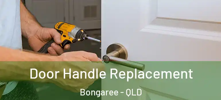 Door Handle Replacement Bongaree - QLD