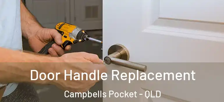 Door Handle Replacement Campbells Pocket - QLD