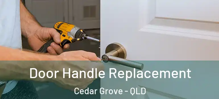 Door Handle Replacement Cedar Grove - QLD