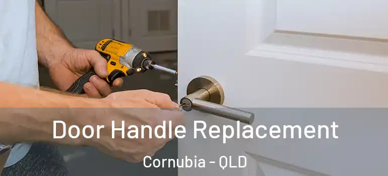 Door Handle Replacement Cornubia - QLD