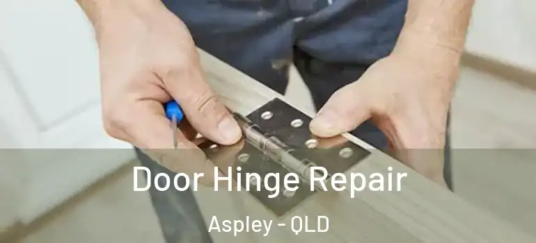 Door Hinge Repair Aspley - QLD