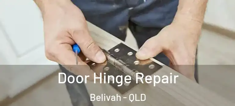 Door Hinge Repair Belivah - QLD