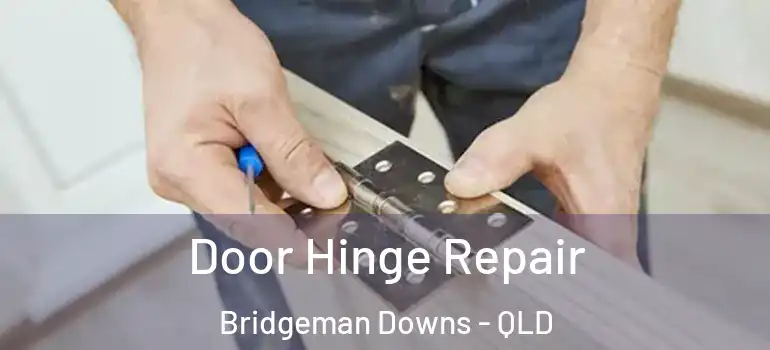 Door Hinge Repair Bridgeman Downs - QLD