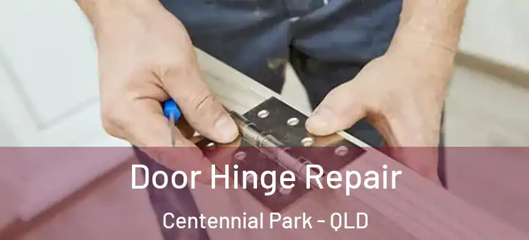 Door Hinge Repair Centennial Park - QLD