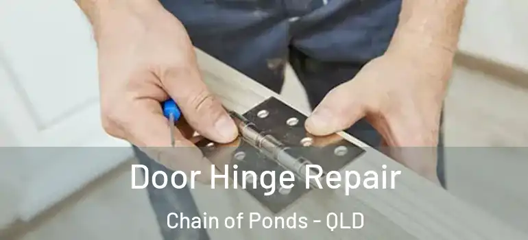 Door Hinge Repair Chain of Ponds - QLD