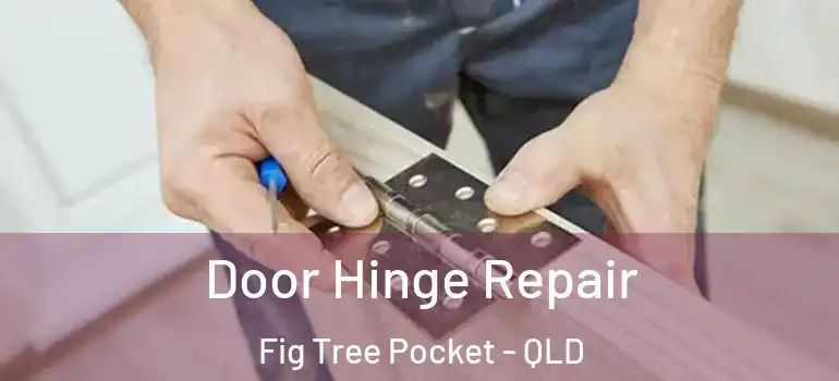  Door Hinge Repair Fig Tree Pocket - QLD