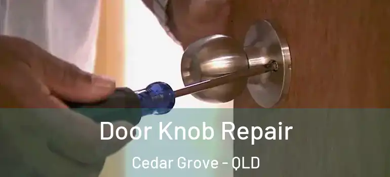  Door Knob Repair Cedar Grove - QLD