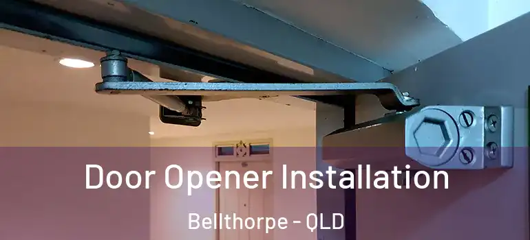 Door Opener Installation Bellthorpe - QLD
