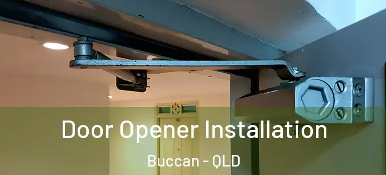 Door Opener Installation Buccan - QLD