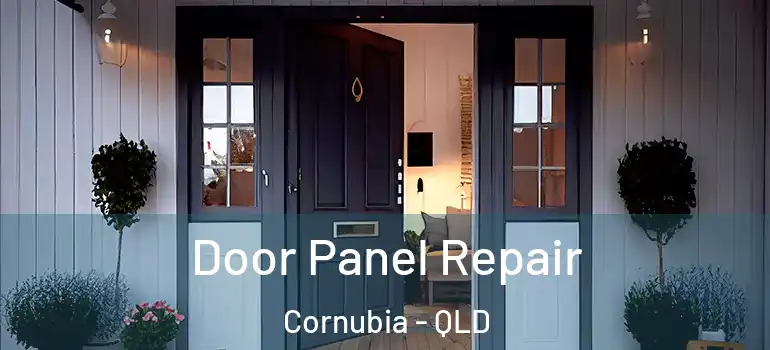  Door Panel Repair Cornubia - QLD