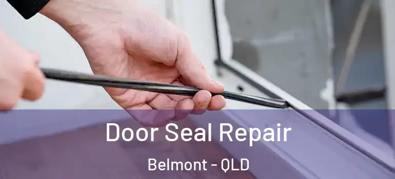 Door Seal Repair Belmont - QLD