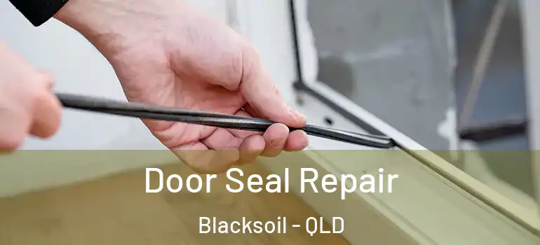Door Seal Repair Blacksoil - QLD