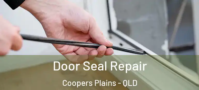 Door Seal Repair Coopers Plains - QLD