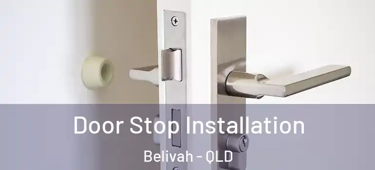 Door Stop Installation Belivah - QLD
