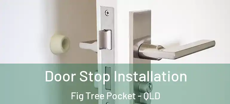 Door Stop Installation Fig Tree Pocket - QLD