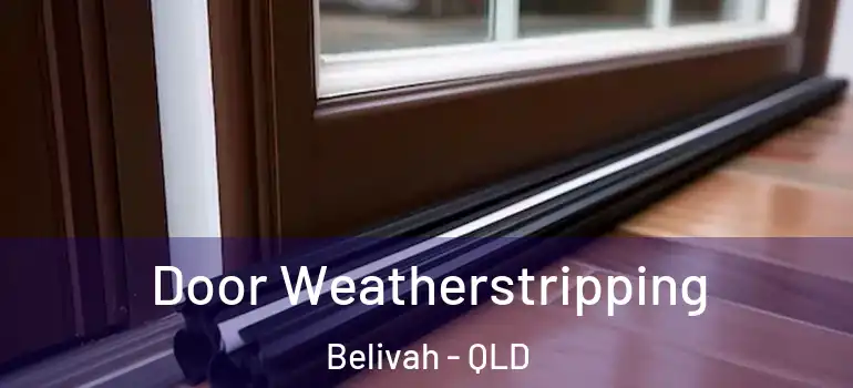 Door Weatherstripping Belivah - QLD