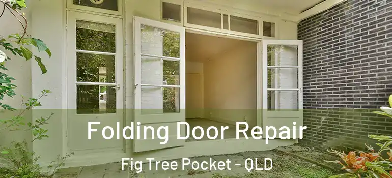 Folding Door Repair Fig Tree Pocket - QLD