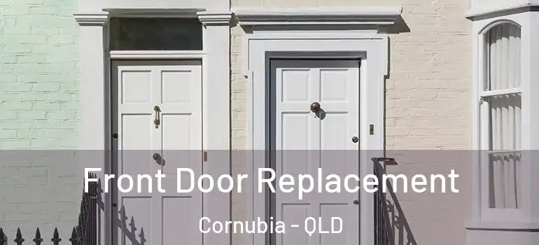 Front Door Replacement Cornubia - QLD