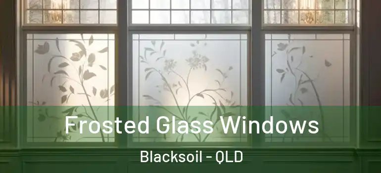 Frosted Glass Windows Blacksoil - QLD