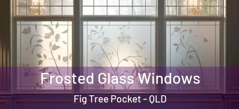 Frosted Glass Windows Fig Tree Pocket - QLD