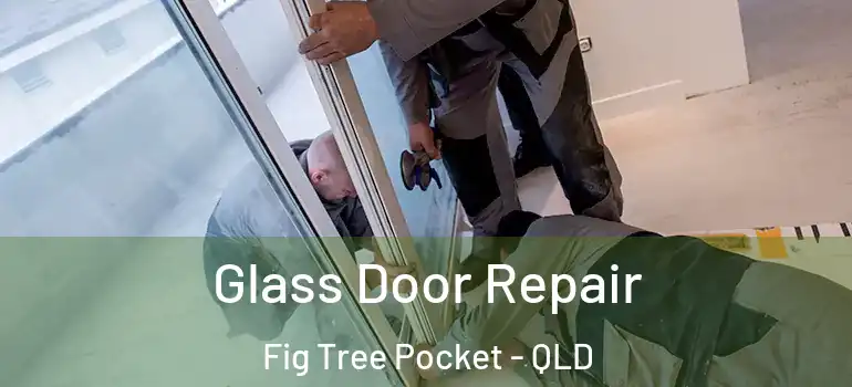 Glass Door Repair Fig Tree Pocket - QLD