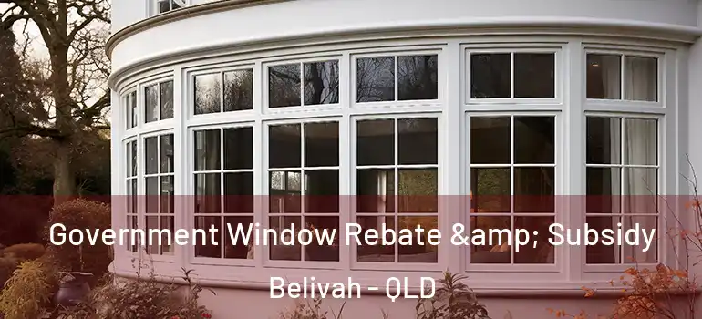 Government Window Rebate & Subsidy Belivah - QLD