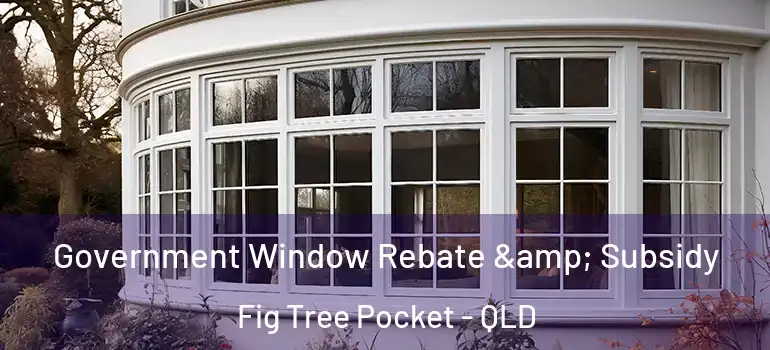 Government Window Rebate & Subsidy Fig Tree Pocket - QLD